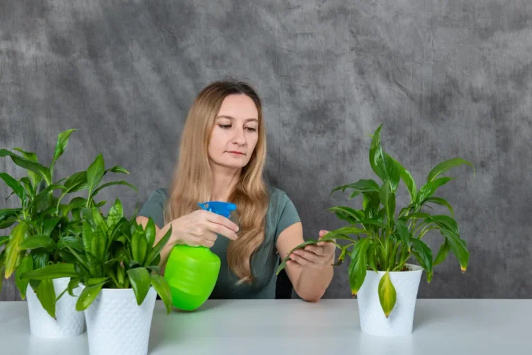 Benefits of Green Cleaning Products: A Healthier, Eco-Friendly Way to Clean