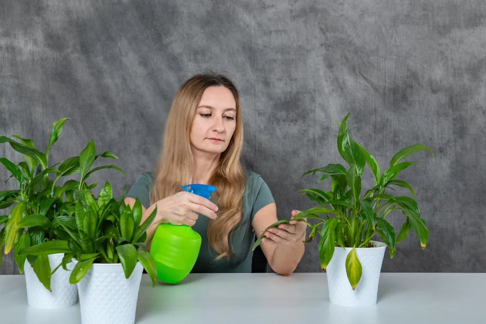 benefits of green cleaning products